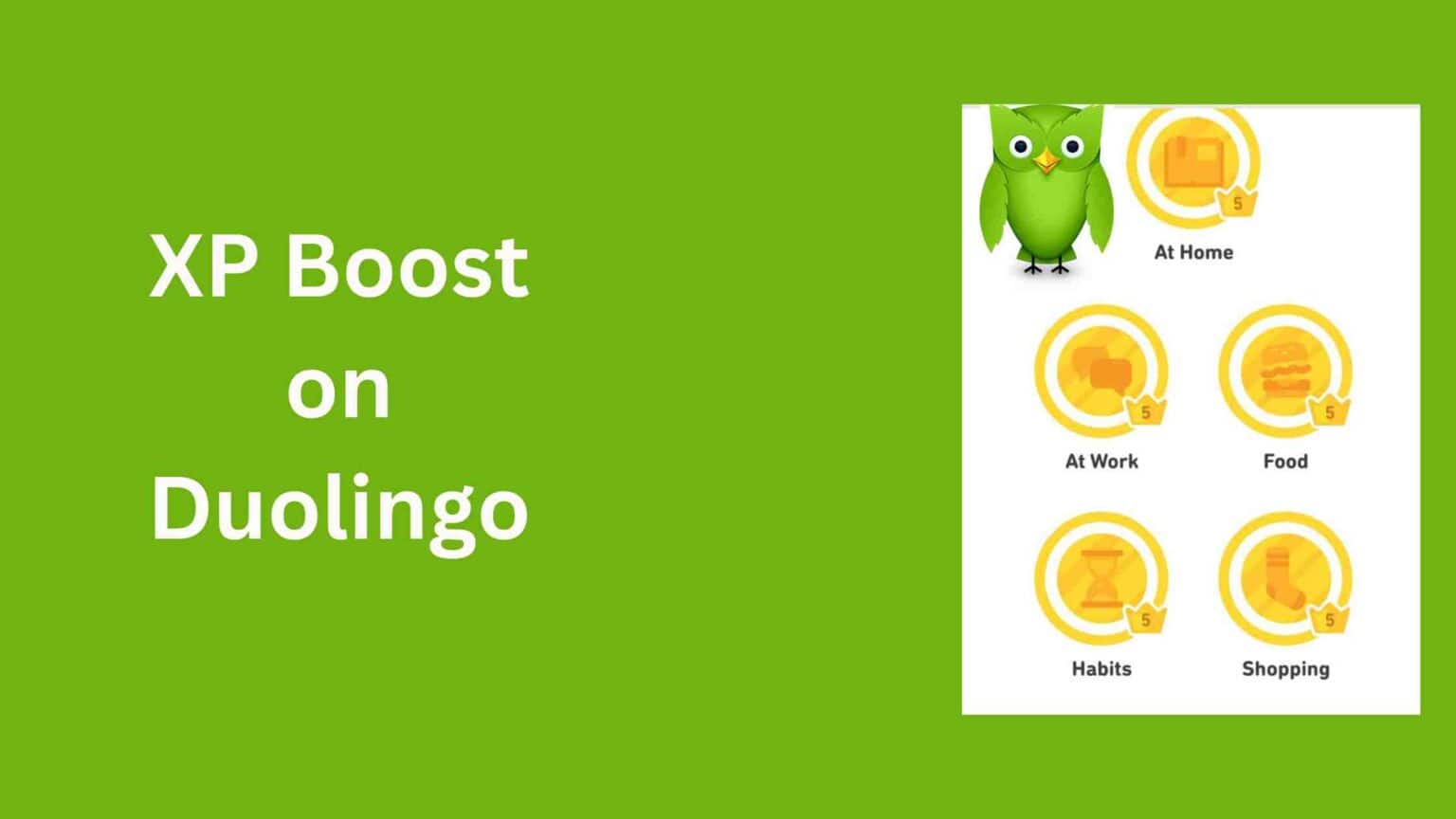 level-up-your-language-skills-10-tips-to-increase-xp-in-duolingo