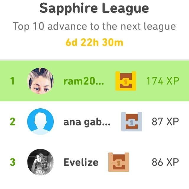 All leagues in duolingo! 