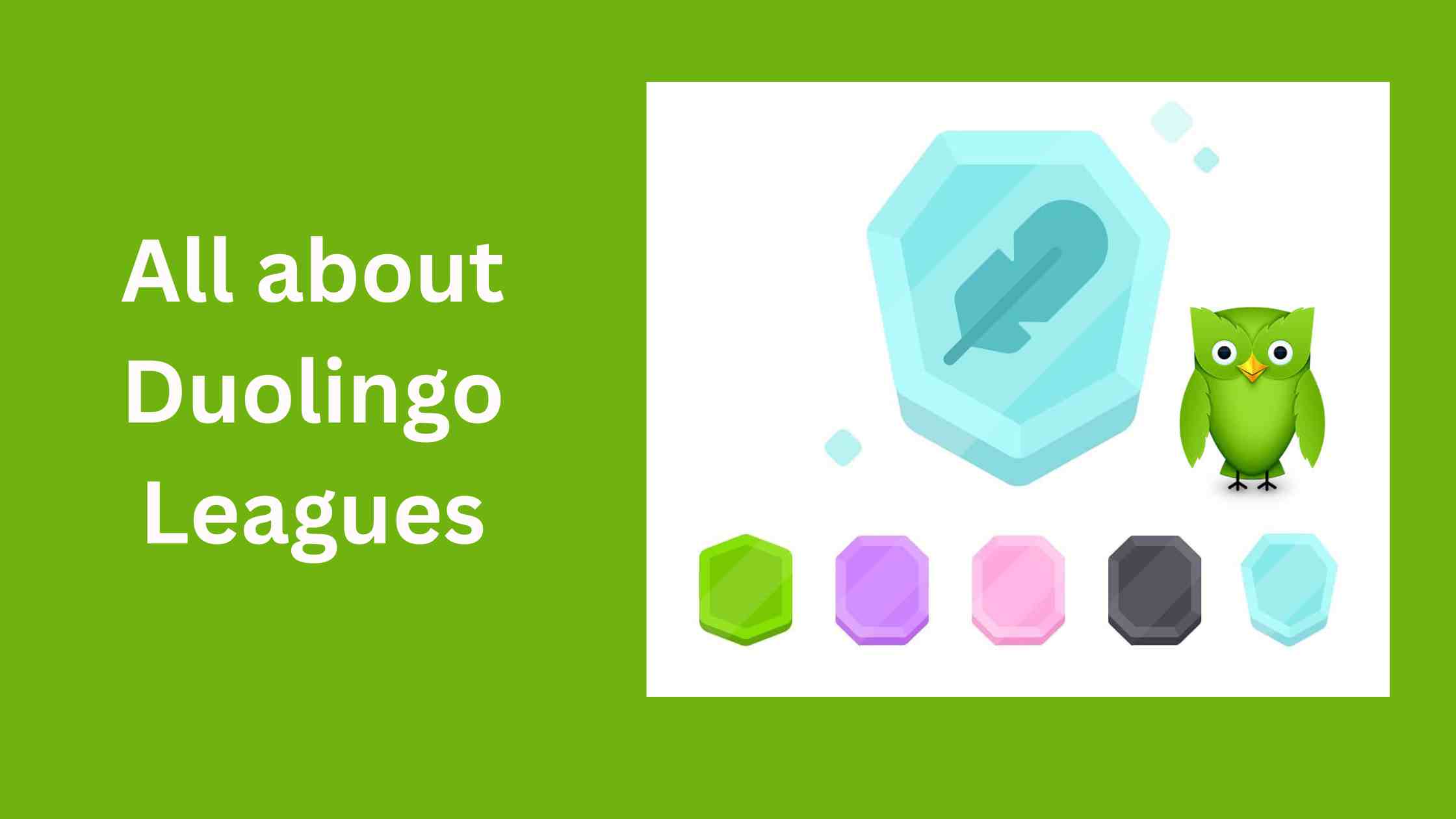 Duolingo Leagues & Leaderboards - EVERYTHING You Need To Know