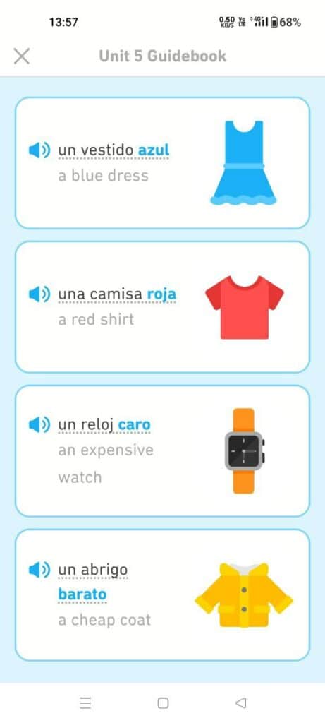 lessons in duolingo app